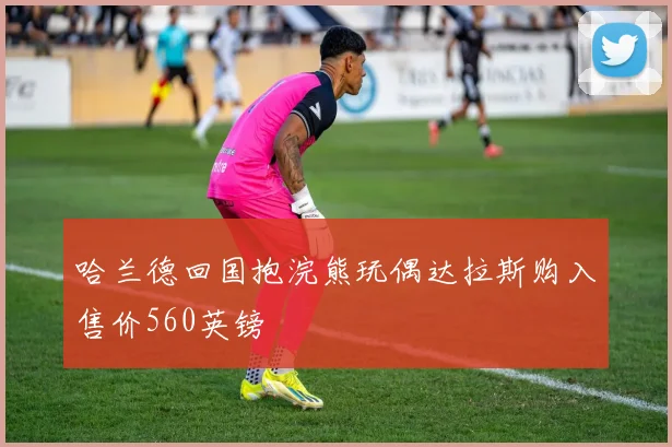 哈兰德回国抱浣熊玩偶达拉斯购入售价560英镑